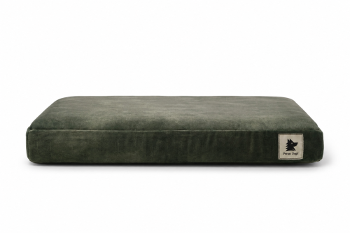 image00001.png