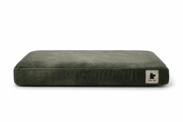 image00001.png