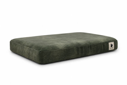 image00002.png