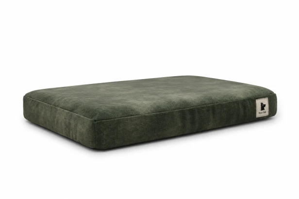 image00002.png